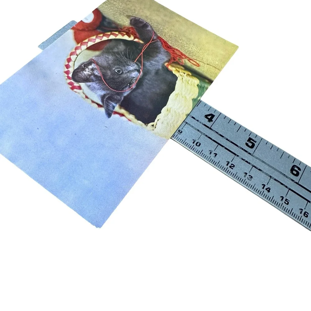Unused Vintage Gray Kitten Postcard 60s Clara Faulkner Mike Roberts C3677G gray